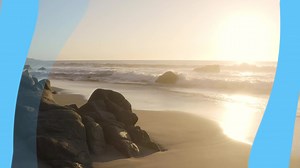 Twist Shape Transition - Free After Effects Template | Mixkit