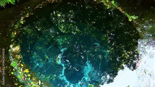 緑豊かな清流の風景 穏やかに流れる川と水草 湧水と癒やしの水辺 豊かな自然環境 エコロジー