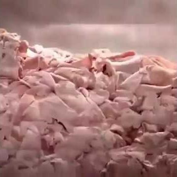 Découvrez comment sont fabriqués les bonbons en gélatine de porc