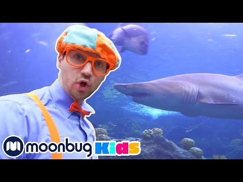 BLIPPI Visits an Aquarium | Kids Fun & Educational Cartoons | Moonbug Play and Learn