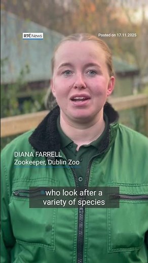 Meet Troy - the parrot named after Ireland’s hat-trick hero