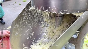 The cabbage slicer quickly cuts fresh white cabbage for preparing salads and sauerkraut for the winter. Electric metal chopper for cutting cabbage. Shredding cabbage in an automatic blender