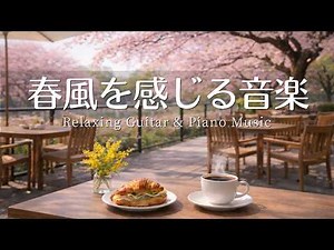 【カフェ・作業用BGM】春風を感じるカフェ音楽☕️🌸 Relaxing Piano & Guitar – 120 min やさしいギター＆ピアノのリラックス音楽｜集中・読書・勉強用