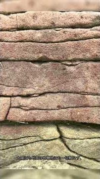 Life That Lives for Millions of Years Inside Rocks