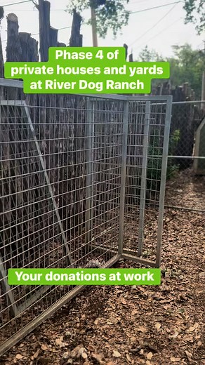 1K views · 39 reactions | It’s HAPPENING!!! Phase 4! We decided to go...