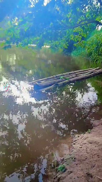 Videos de pravia (@flaquito.pravia) con “sonido original - 𝐍𝐞𝐢𝐝𝐞𝐫 𝐌𝐚𝐫𝐭𝐢𝐧𝐞𝐳”