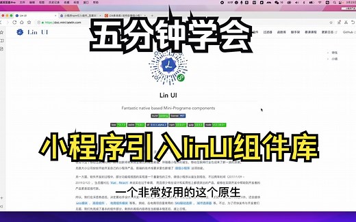推荐一个不错的小程序元素组件库：lin-ui，5分钟学会引入使用