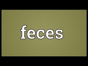 Feces Meaning