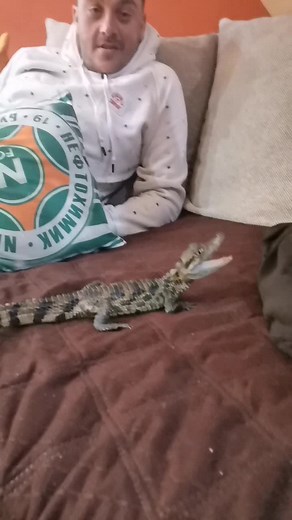 #fo #nafta #zanimation #крокодил #foryou #foryoupage