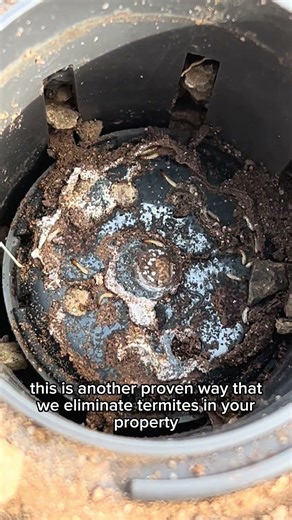 How to treat for subterranean termites? Using Trelona bait stations. Complete termite elimination.