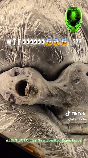 ALIEN BOLO on TikTok