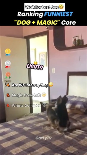 Ranking FUNNIEST DOG + MAGIC Core Moments 🪄😧