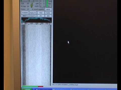 EasyPal Demonstration