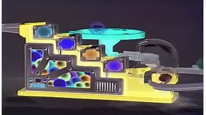 Baby Bach in G Major (Part 1)