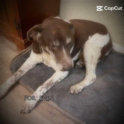 I almost starting crying when I made this