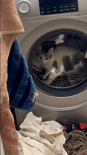 10 Hours of WASHING MACHINE Sound | White Noise - Black Screen | Calm, Relax and to Sooth a Baby