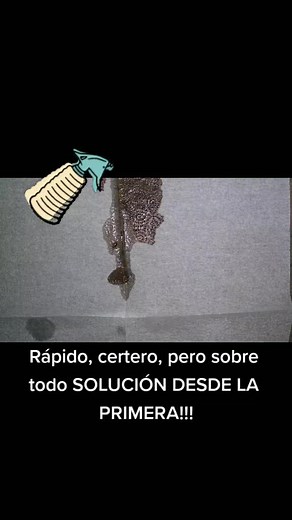 PLATINO CONTROL DE P on TikTok