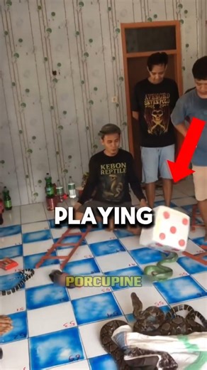 snake and ladder in real life 🐍🪜 #shorts