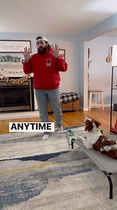 116K views · 2.9K reactions | Have you ever noticed that your dog is...