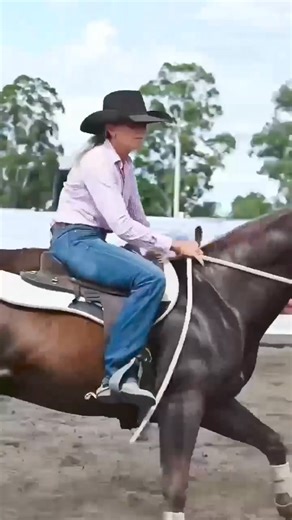 26K views · 212 reactions | Select Sires on Reels | Facebook