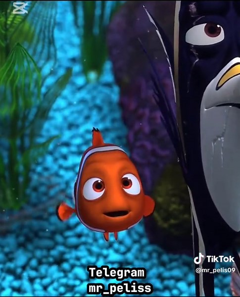 Buscando a Nemo: Edits y Clips Memorable