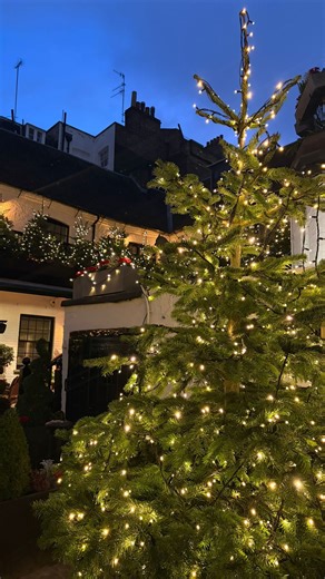 The magic of London at Christmas begins right outside our door ✨ Wander from Piccadilly Arcade to Burlington Arcade and soak in the iconic festive displays, only moments away from The Stafford. Delight in the wonderful ambiance and finish with a cocktail at The American Bar for a beautifully festive evening 🎄🍸 | The Stafford London