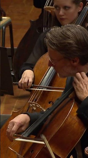 Mozart: Symphony No. 40 #BerlinPhil #SirSimonRattle #ClassicalMusic #Orchestra #DigitalConcertHall