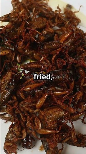 The Country That Eats the Most Cockroaches?!