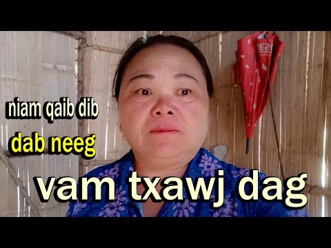 Dab neeg vam txawj dag
