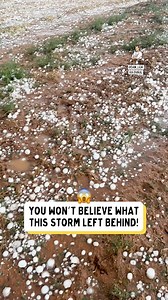 The one day I park my car outside… 👍🏼 | Dad Jokes