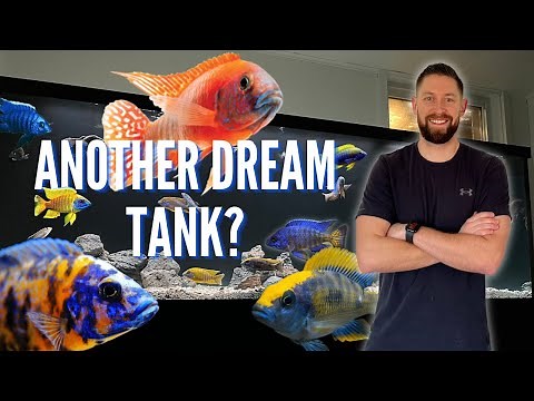 My *BRAND NEW* 6ft Cichlid Aquarium Setup from START to FINISH! (Fish Added)