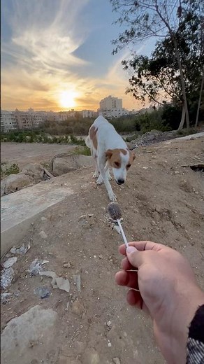 Who is unlucky? 😭