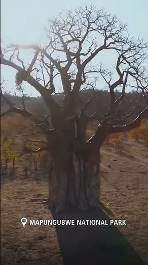 Mapungubwe National Park