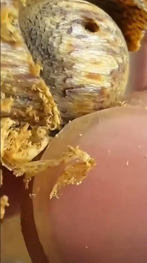 Can You Tell Which Agarwood Is Real? #timelesscraftsmanship #woodworking #viralvideo