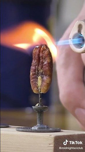 Burning Food- Chemical Energy