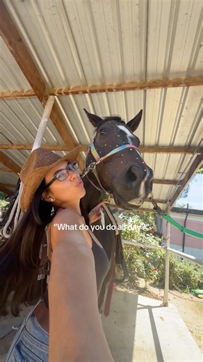 “WHAT DO YOU DO ALL DAY?” 🐴💎 #horse #horsegirl