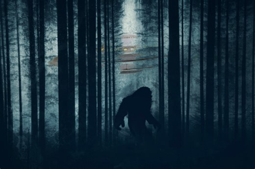 Which West Virginia counties have the most Bigfoot sightings?