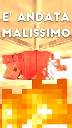 My armadillo farm has IMPLODED…