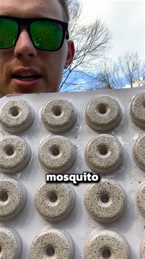 This Simple Dunk Stops Mosquito Larvae #mosquito #home #pestcontrol #hometips | Pest Badger