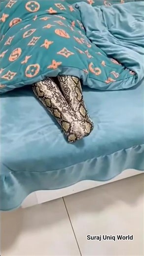 #funny #shortvideo #trending #viral #ytshorts