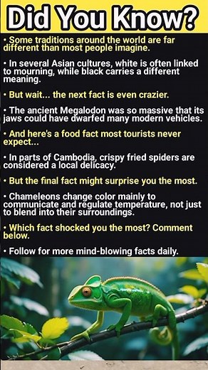 5 Mind-Blowing Chameleon Facts You Won't Believe