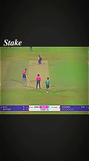 The Ultimate Guide to Cricket Stickers: Showcase Your Passion