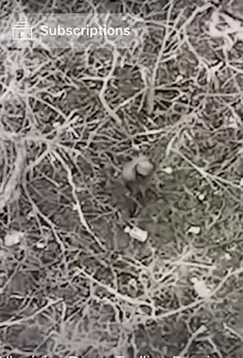 NeilR Greatest Adventures on TikTok