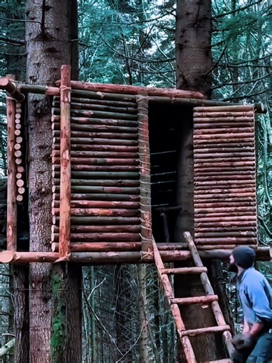 Essential Bushcraft Skills for Survival Builders