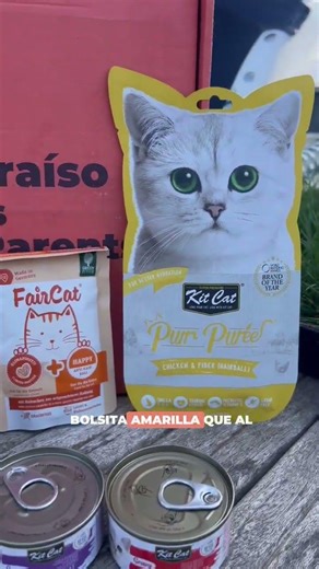 Cómo prevenir las bolas de pelo en gatos 🐱✨