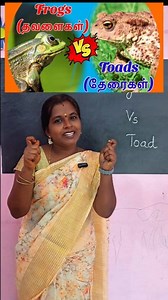 11K views · 313 reactions | Frog vs Toad  இவ்வளவுதானா #english #education #grammar #spokenenglish #vocabulary #viral | Sathya English | Facebook