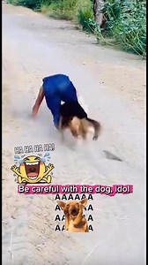 Be careful with the dog idol hahaha 😂 #everyone #everoneシ゚ #fypシ゚viralシ #followers #friends #highlights 😂😂😂 | Gally Revalde