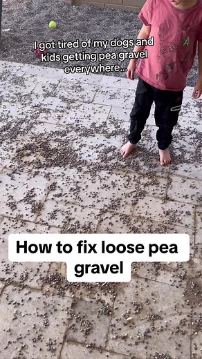 Anna D Stoddard on TikTok