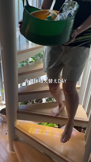 BotaNiceを使った観葉植物の植え替え方法