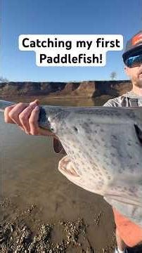 Catching my first Paddlefish! #paddlefish #spoonbill #snagging #oklahoma #fishingvideo